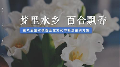 2019里水鎮(zhèn)第八屆百合花文化節(jié)概念策劃方案